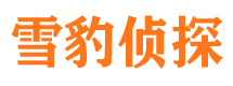 凤阳外遇出轨调查取证